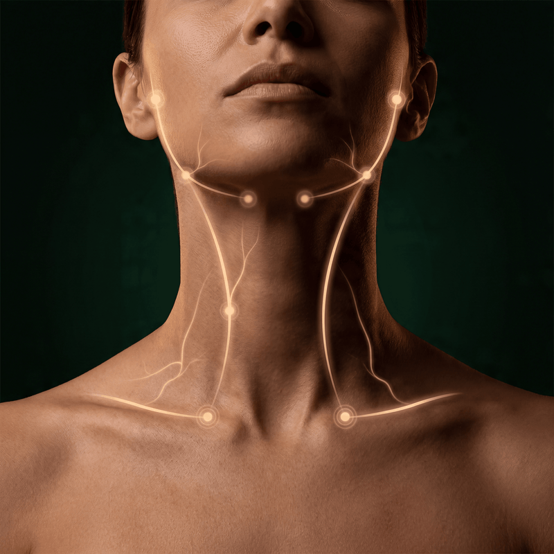 Diagram showing lymphatic drainage pathways from face to neck to collarbone lymph nodes
